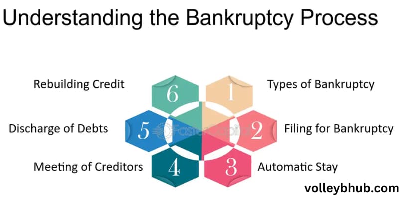 Understanding the Bankruptcy