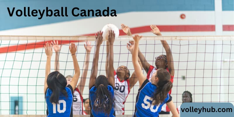 Volleyball Canada