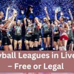 Volleyball Leagues