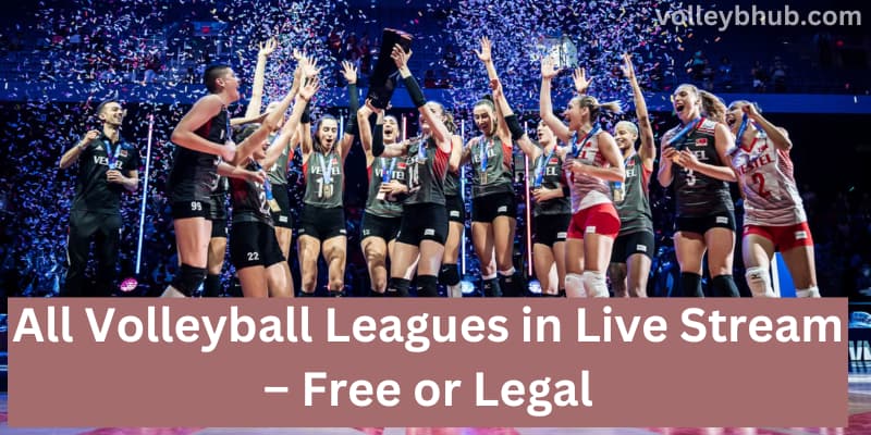 Volleyball Leagues