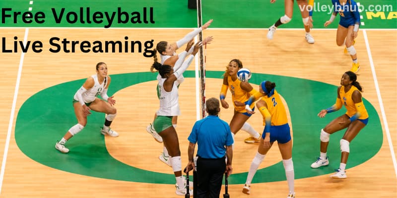 Free Volleyball Live Streaming Options